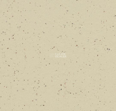 Forbo Marmoleum Solid Cocoa 3584-358435 white chocolate фото 1 | FLOORDEALER